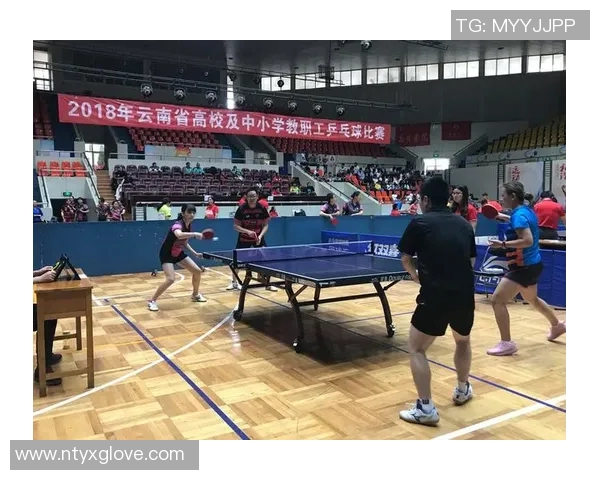 南京乒乓球队的节奏揭秘与深度分析探讨乒乓球的魅力与技巧