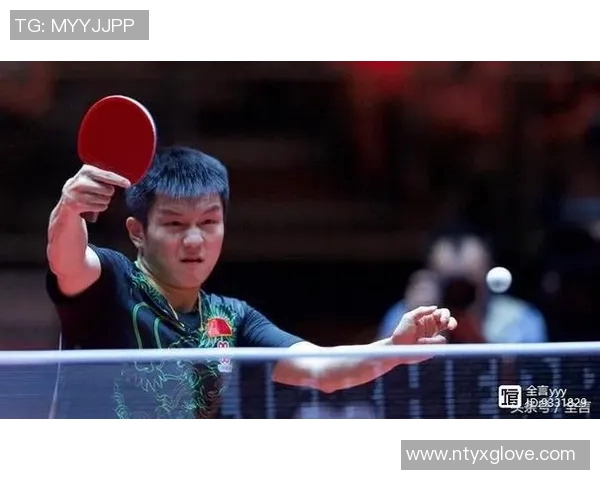 深圳篮球队在奥运会上的节奏表现分析与未来展望