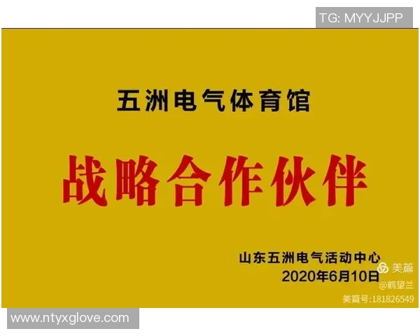 广州排球队与重庆排球队耐力较量的深度分析与赛后总结